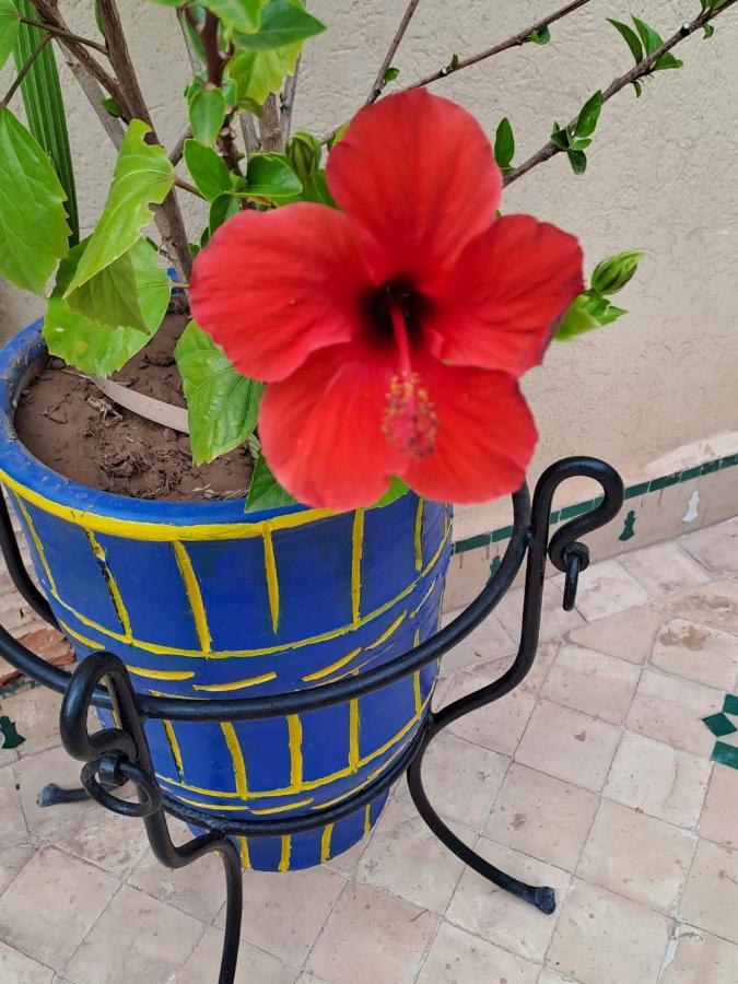 Riad Rime Garden Marrakech Lagouassem Ngoại thất bức ảnh